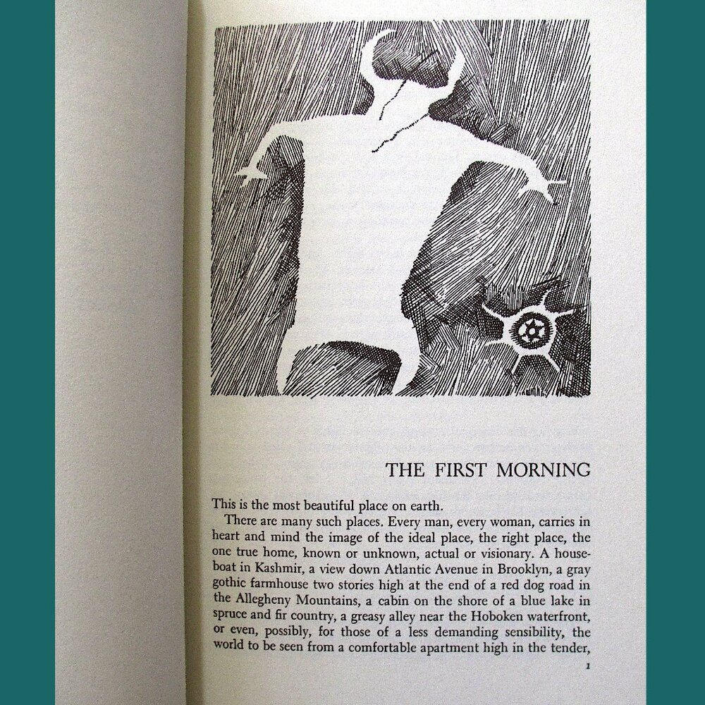 Book - Desert Solitaire: A Season in the Wilderness by Edward Abbey - Picture 4 of 9